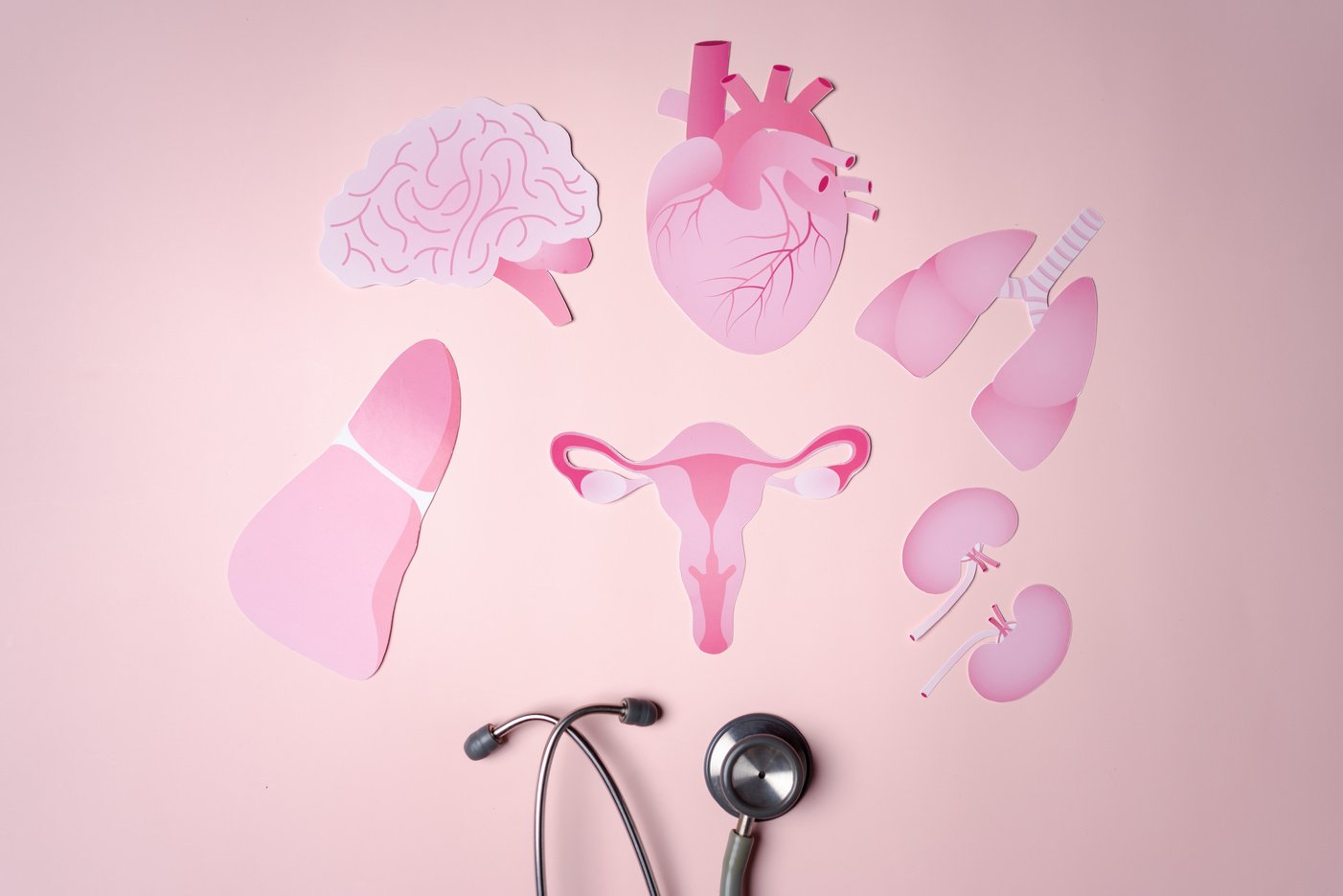 Checkup uterus, female reproductive system, women's health, PCOS